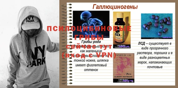 первитин Белоозёрский