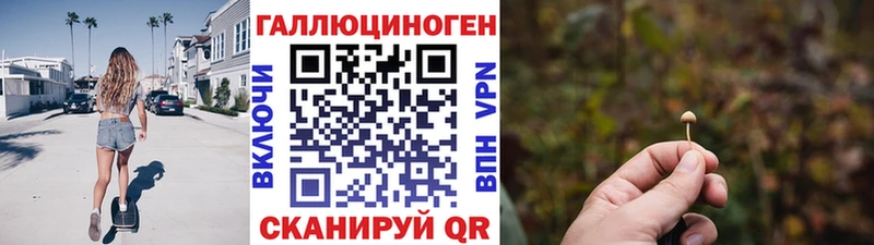 кракен   Реутов  Псилоцибиновые грибы ЛСД 