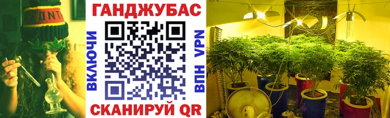 Конопля марихуана Реутов